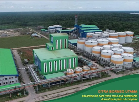 Pendapatan Citra Borneo Utama Naik Menjadi Rp6,6 Triliun, Darimana Penopangnya?