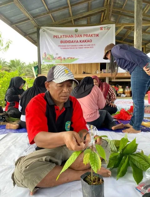 Program Sustainable Living Village Apical di Kutai Timur Hidupkan Kembali Perkebunan Kakao