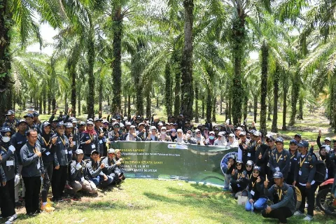 Program SDMPKS 2025: 110 Petani Sawit Wajo Ikuti Pelatihan Teknis Budidaya Agar Lebih Mahir dan Produktif