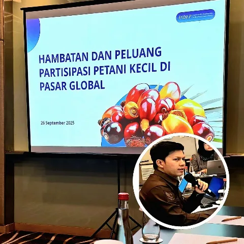 APKASINDO: Masalah Kawasan Hutan Jadi Batu Sandungan EUDR, Turki Lebih Percaya Sawit Malaysia