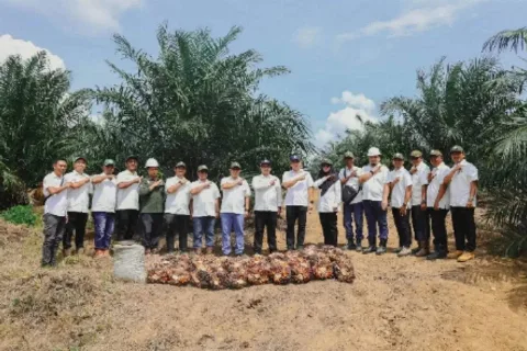PalmCo Mencatatkan Capaian Positif Dalam Program Peremajaan Kebun Sawit, Panen Pada Usia 2,5 Tahun Sebesar 7,52 Ton/Hektare