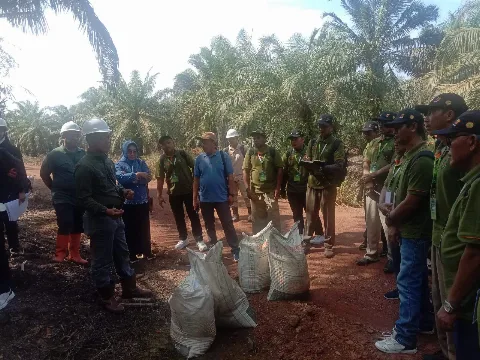 AKPY, BPDP, dan Ditjenbun Perkuat Kompetensi Pekebun Sawit Lewat Field Trip ke Kebun PT Kharisma Inti Usaha