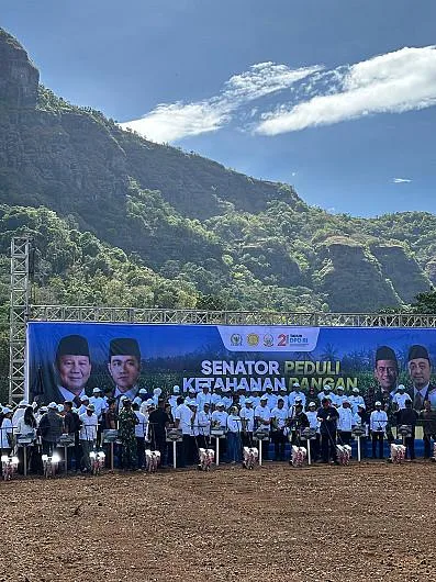 Pupuk Indonesia Perkuat Produktivitas Petani Melalui Edukasi Dan Kemudahan Akses Pupuk
