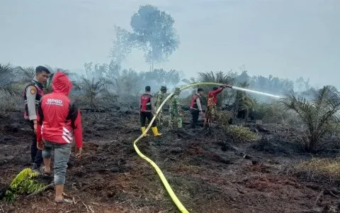 Perkuat Pencegahan dan Kesiapsiagaan Perusahaan Sawit Hadapi Musim Kemarau