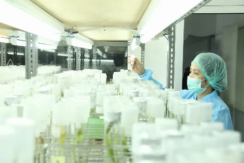 Sektor Ketenagakerjaan Industri Sawit Masih Kondusif