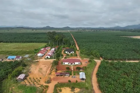 PLN UP3 Ketapang Memperkuat Dukungan Penyediaan Listrik Bagi Sektor Industri Sawit