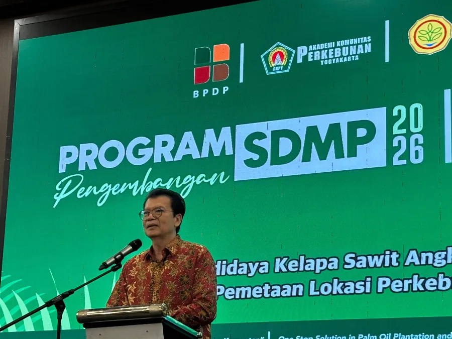 Ahli: Produktivitas Sawit Bukan Ditentukan Banyaknya Pupuk, tetapi Ketepatan Pemberiannya