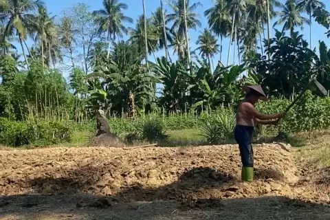 Petani Sulawesi Barat Berharap Pengawasan Distribusi Pupuk Bersubsidi Diperketat