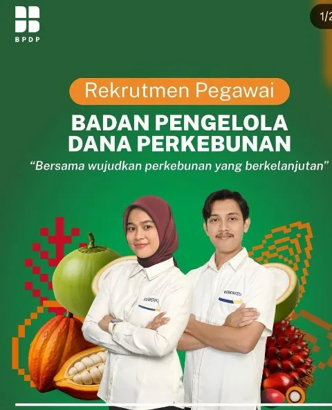 BPDP Buka Lowongan Pekerjaan, Ada 16 Formasi Berikut Persyaratannya