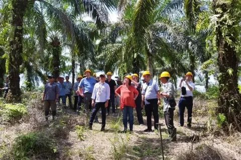 Wakil Menteri Bidang Kerjasama Ekonomi Jerman Memantau Rantai Pasok Karet dan Kelapa Sawit di Kalbar