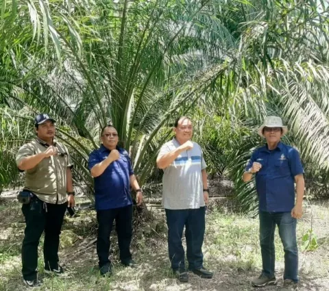 PT Agrinas Palma Nusantara (Persero) Kunjungi Lahan PKH di Paser