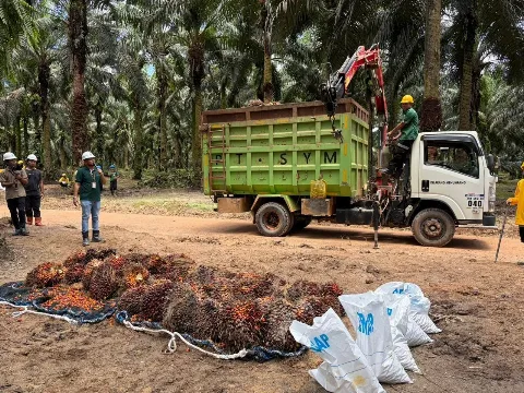 Astra Agro Cetak Laba Rp1,07 Triliun per September 2025