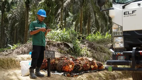 Transformasi Digital Astra Agro untuk Bisnis Sawit Modern dan Berkelanjutan