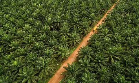 DSI Awasi Tiga Komoditas Strategis Senilai Rp1.240 Triliun