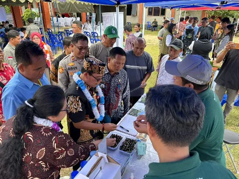 Solidaridad Gelar Farmer Field Day di Lamandau, Strategi Peningkatan Kompetensi Petani Sawit