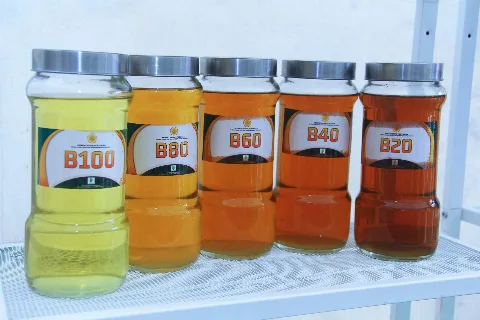 Kementerian ESDM Siap Uji Jalan B50 Pada Awal Desember 2025
