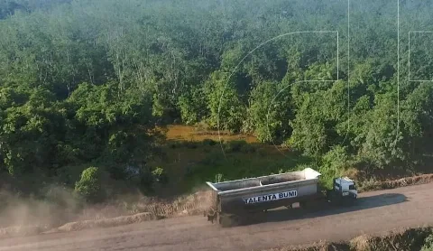 Saham Emiten Milik Haji Isam Melesat, Saham Perkebunan Penyumbang Terbesar