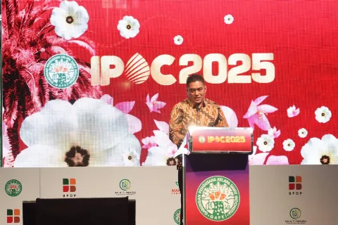Kementan Permudah Regulasi PSR, Siapkan Skema Pendapatan bagi Petani Sawit