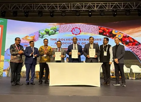 5 Isu Utama Perdagangan Sawit Indonesia-India
