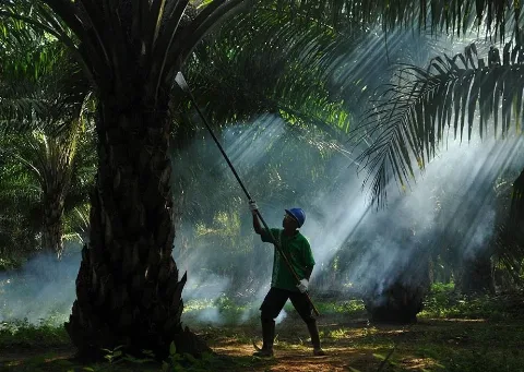 Tiga Direksi Prime Agri Resources Mengundurkan Diri