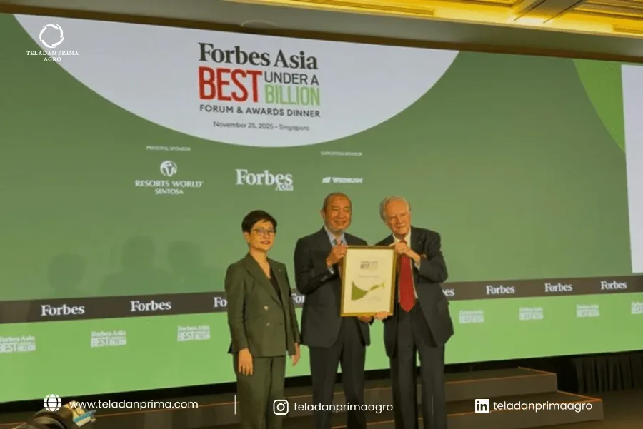 TPA Terima Penghargaan Best Under A Billion dari Forbes Asia