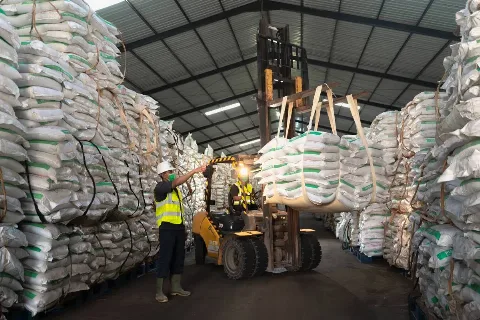 Saraswanti Genjot Produksi dan Distribusi Pupuk NPK untuk Perkebunan Kelapa Sawit