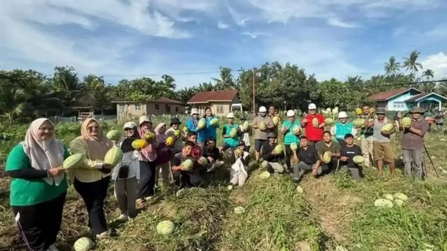 Pengembangan Vermikompos Bantu Petani Tingkatkan Produktivitas