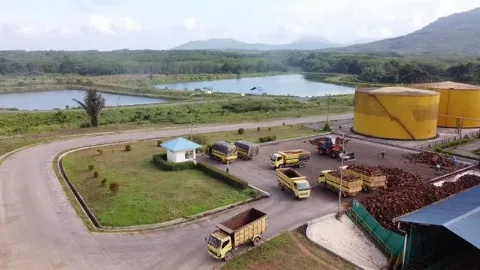 PT BGMPA Modernisasi Operasi dan Dorong Transparansi Harga Sawit