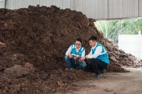 PLN EPI Berkolaborasi Dengan Swasta dan Koperasi Kembangkan Ekosistem Bioenergi