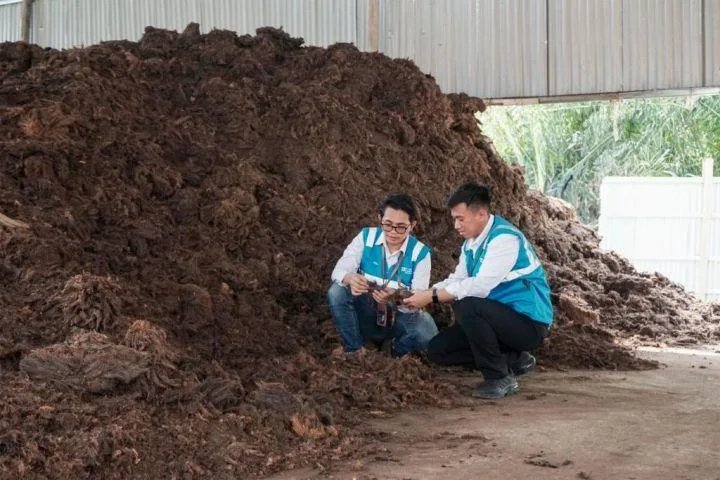 PLN EPI Berkolaborasi Dengan Swasta dan Koperasi Kembangkan Ekosistem Bioenergi