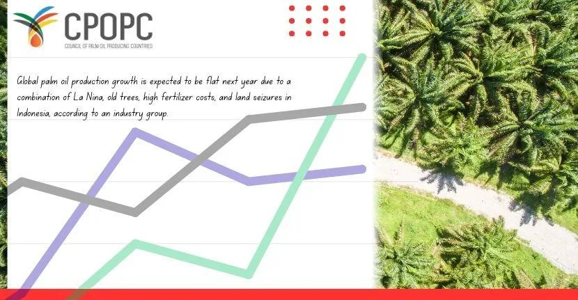 Palm Oil Output Growth Seen Flat in 2026 as La Niña Hits: CPOPC