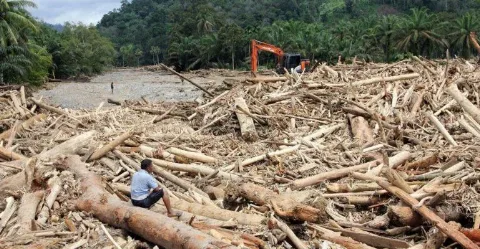 Penjelasan Pakar, Sawit Bukan Penyebab Utama Bencana Tetapi Ini Masalahnya..