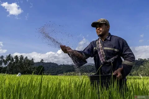 Kawasan Industri Pupuk Fakfak di Papua Barat Membawa Perubahan Langsung Bagi Petani Papua