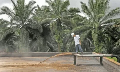 Pertamina NRE Akan Bangun Pabrik Biometanol Berbasis Limbah Sawit Berkapasitas Awal 50 Ton/Tahun