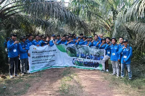 BPDP, Ditjenbun, dan IPB Training Bekali Pekebun OKI Belajar di Kebun, Perkuat Praktik Budidaya Sawit Berproduktif Tinggi
