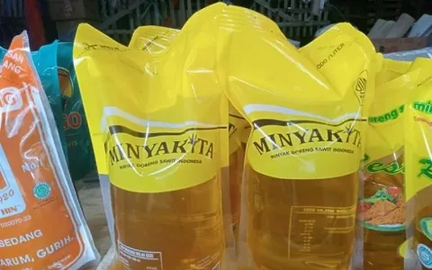 Pemerintah Akan Ubah Tata Kelola Minyakita, Dengan Menyerahkan Pengelolaan Sepenuhnya Kepada BUMN Pangan