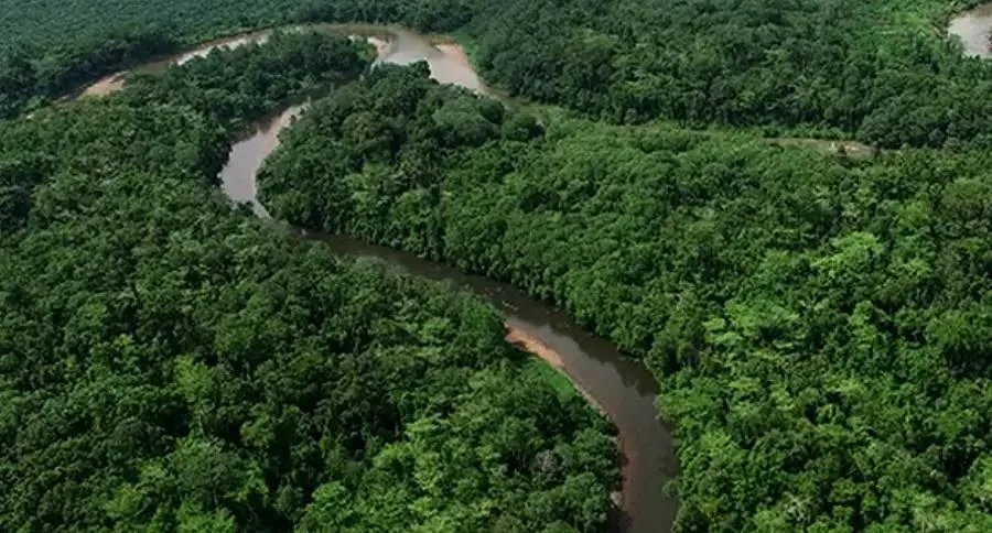Luas Tutupan Hutan Kaltim Capai 62 Persen