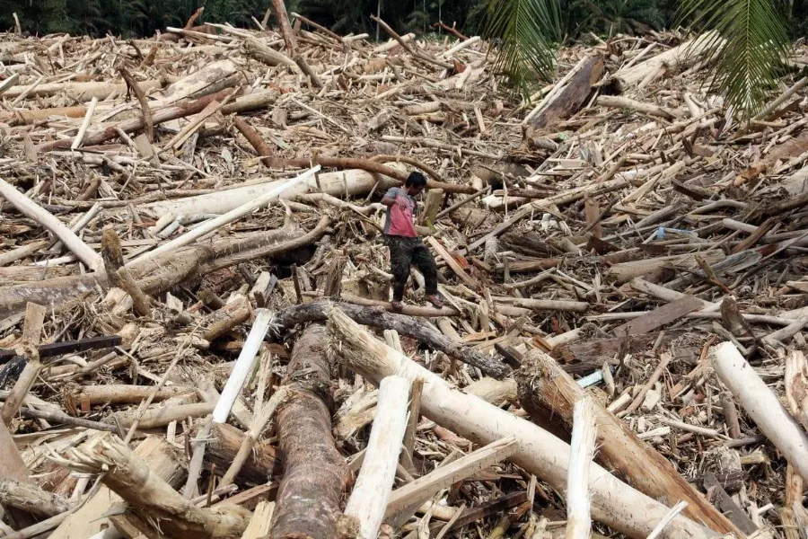 DPW Apkasindo Sumatera Utara Bantah Perkebunan Kelapa Sawit Penyebab Banjir Bandang