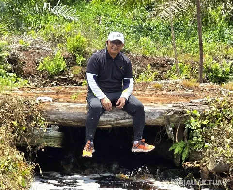 Dr Gulat Medali Emas Manurung Ungkapkan Urgensi Pembentukan Badan Otoritas Sawit Indonesia