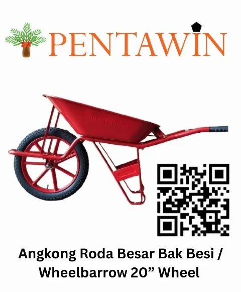 Angkong Pentawin Optimalkan Transport Panen Sawit, Tahan Beban hingga 200 Kg