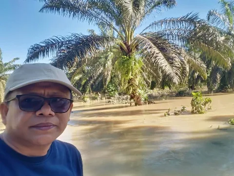 APKASINDO Sumbar: Jangan Hujat Sawit, Kebun Petani Juga Terdampak Bencana