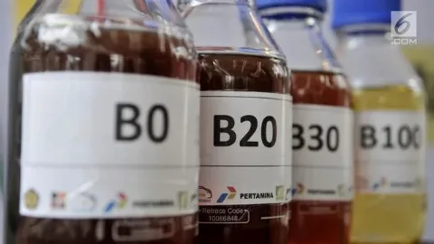 IESR Soroti Risiko Fiskal Program B50, Berpotensi Picu Inflasi dan Kenaikan Harga Migor