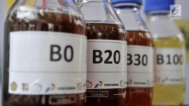 IESR Soroti Risiko Fiskal Program B50, Berpotensi Picu Inflasi dan Kenaikan Harga Migor