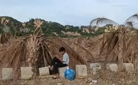 Ratusan Hektar Kebun Sawit di Aceh Tamiang Rusak Berat Diterjang Banjir Bandang