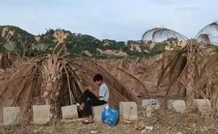 Ratusan Hektar Kebun Sawit di Aceh Tamiang Rusak Berat Diterjang Banjir Bandang