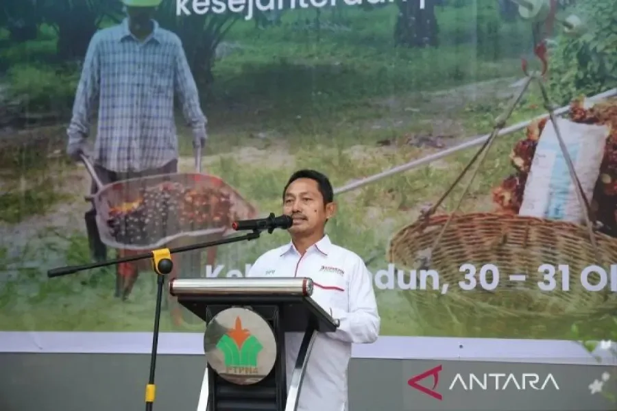 Pola Single Management oleh PTPN IV PalmCo Membawa Manfaat Besar Bagi Petani Mitra