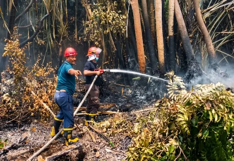 PTPN IV Regional III Kerahkan 660 Personil dan Teknologi Arfina Gempur Karhutla di Tiga Kabupaten Riau