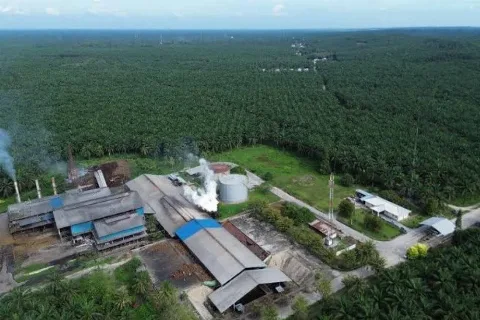 PT Agrinas Palma Nusantara Bukukan Surplus Rp2,86 Triliun