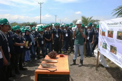 BPDP, Ditjenbun dan PT Citra Widya Education Perkuat Kapasitas SDM 155 Pekebun Sawit Morowali Utara