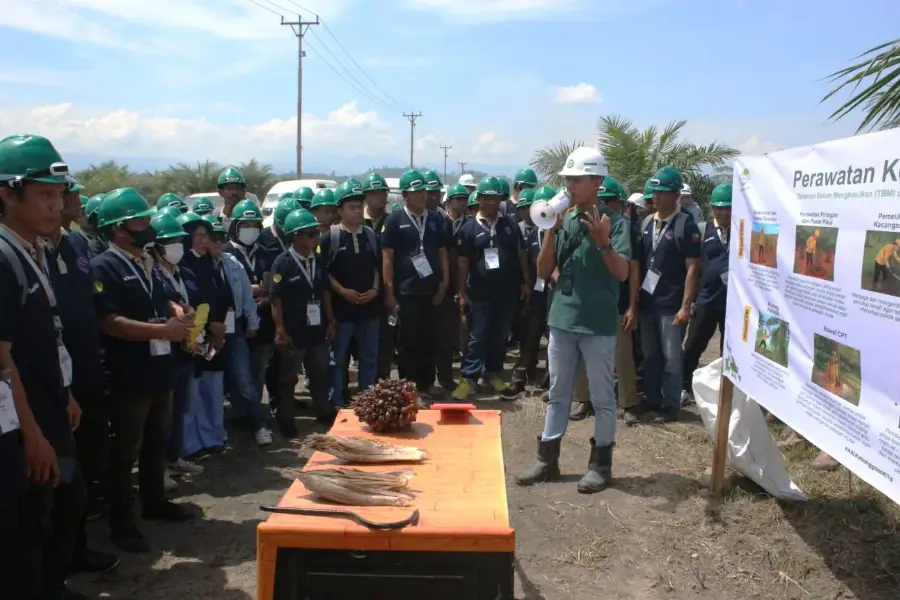 BPDP, Ditjenbun dan PT Citra Widya Education Perkuat Kapasitas SDM 155 Pekebun Sawit Morowali Utara
